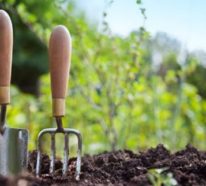 Gartenarbeit im März – was Sie darüber wissen müssen