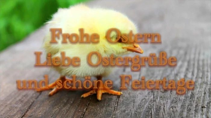 Ostern Sprueche OSterfest OSterdeko Osterhase ostergruss