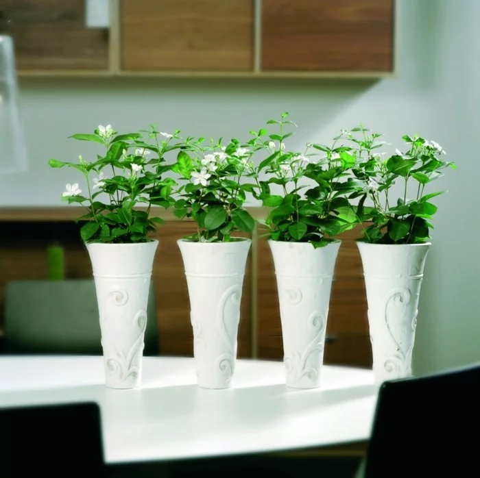 jasmin zimmerpflanze esstisch dekorieren weiße vasen