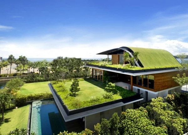 moderne architektur grüner dachgeschoss