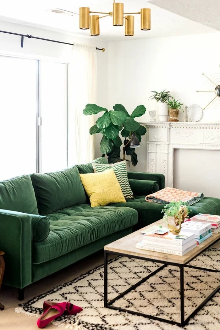 Pflanze mit großen Blättern neben dem grünen Sofa und weiße Wände