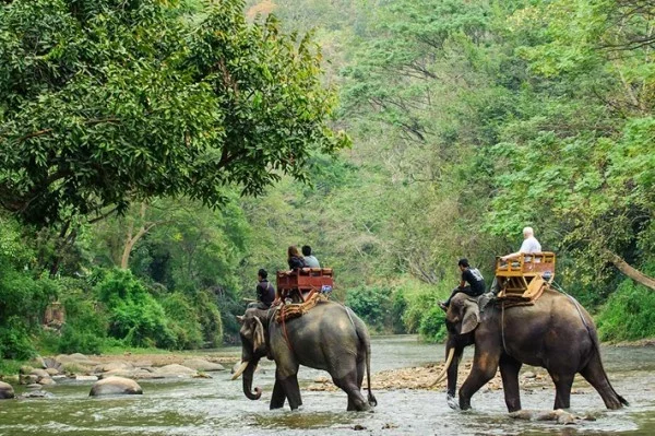 Abenteuerreisen Elefantenfahrt die Welt erkundigen Safari Tour