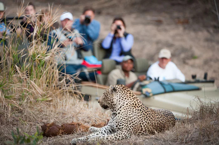 Abenteuerreisen Südafrika Krüger Nationalpark Tiere fotografieren