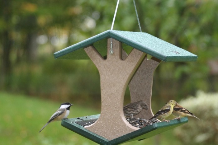 Recycling basteln Vogelfutterhaus bauen Müll reduzieren vogel