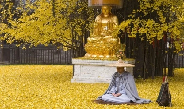 meditierender Mönch vor einer goldenen Budha-Statue