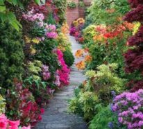 Gartenweg Ideen mit Pflanzen und Blumen, damit der Weg nach Hause spannender ist…