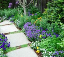 Gartenweg Ideen mit Pflanzen und Blumen, damit der Weg nach Hause spannender ist…