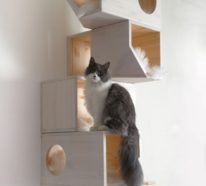 Katzenhaus selber bauen- 40 preisgünstige und praktische Upcycling Ideen + Bauanleitung