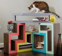 Katzenhaus selber bauen- 40 preisgünstige und praktische Upcycling Ideen + Bauanleitung