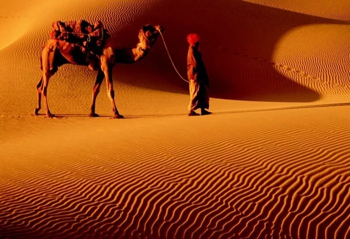 nachhaltig reisen nachhaltig leben regionale hersteller gobi wueste kamel
