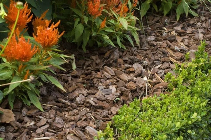 Rasenkante mit Mulch verlegen im Garten