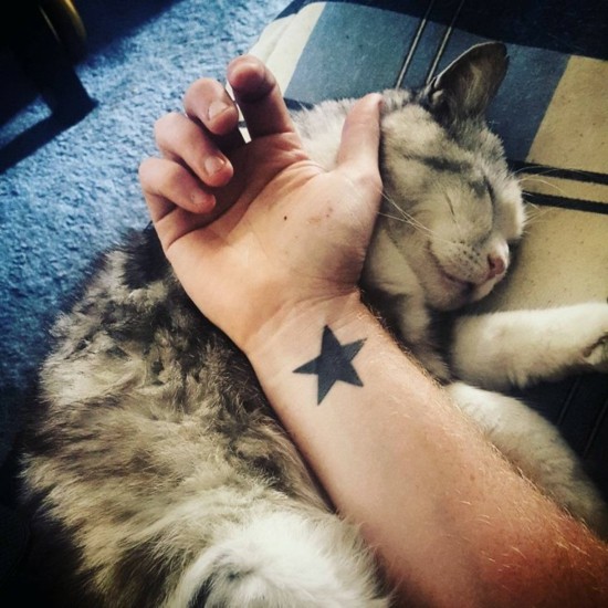 stern tattoo handgelenk mann und katze