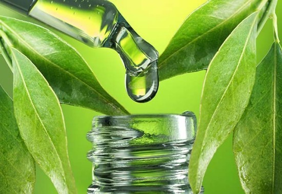 Eukalyptus Blätter ätherisches Öl breiten Einsatz Medizin
