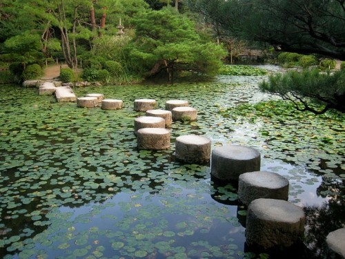 Gartenideen nach Feng Shui Wasserteich Holzstöcke Wasservegetation