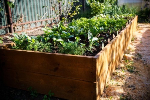 Hochbeete und deren Vorteile für Sie und den Garten - Fresh Ideen für