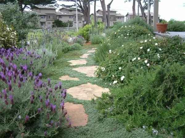 naturnaher Garten voller Lavendel und Stauden