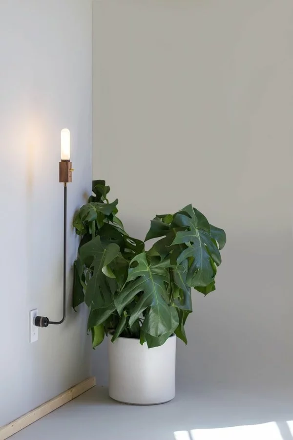 wandleuchten innen moderne wandlampe pflanze beleuchten