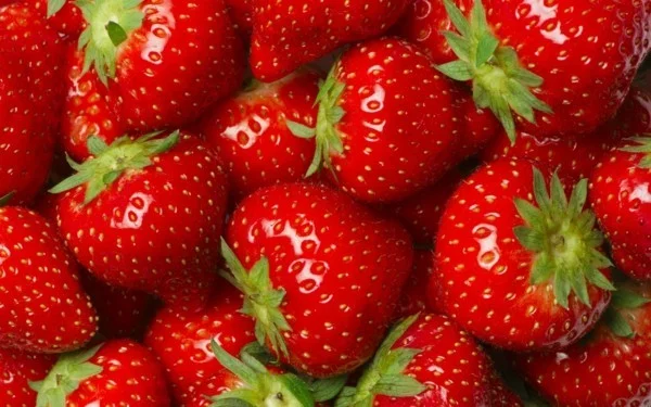 dehydrieren vermeiden rhabarber limonade selber machen erdbeeren