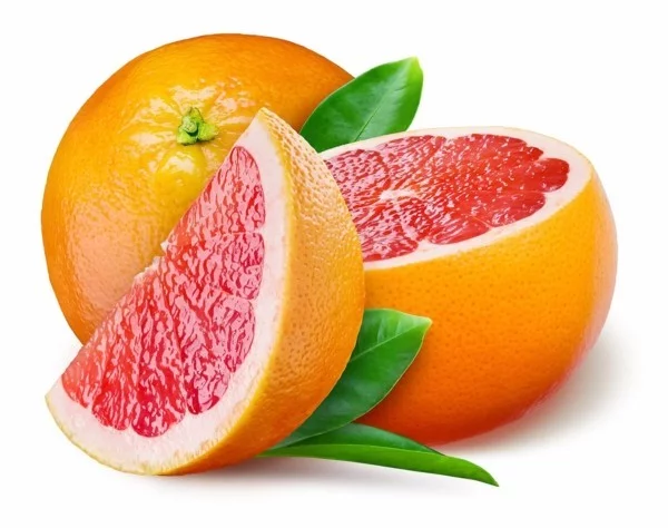 dehydrieren vermeiden rhabarber limonade selber machen grapefruit