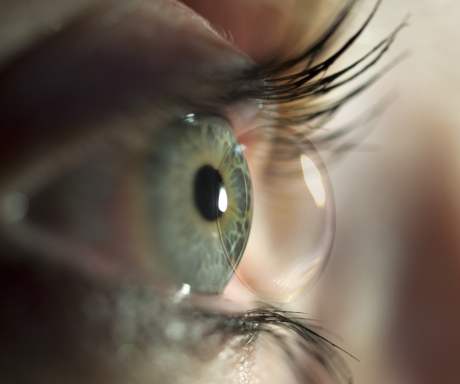 günstige kontaktlinsen bestellen harte kontaktlinsen