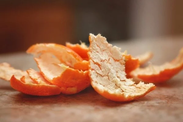 Orangenschalen als Hausmittel gegen Silberfische 