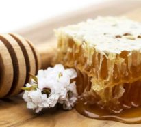 Manuka- Honig- ein Naturheilmittel aus Neuseeland