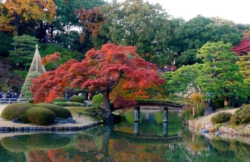 Blicke an in Rikugien Park, Tokio