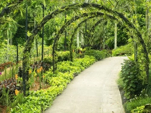 Botanischer Garten in Singapur tropische Pflanze als Bogen geformt Gartenweg