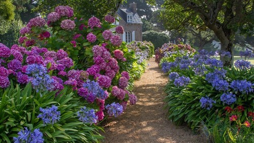 Gartenpfad mit farbenfrohen Hortensien führt zum rustikalen Haus
