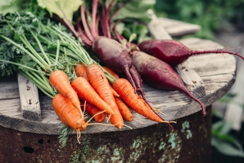 Gemüse Karotten