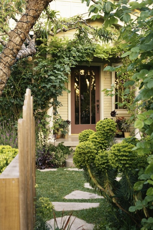  Hausfassade begrünen visuelle Tiefe im kleinen Garten erzeugen