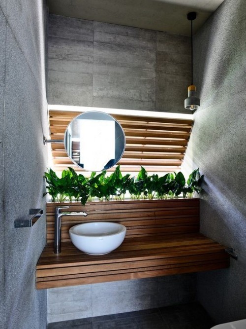 Holz Badezimmerpflanzen machen das Beton Bad gemütlich