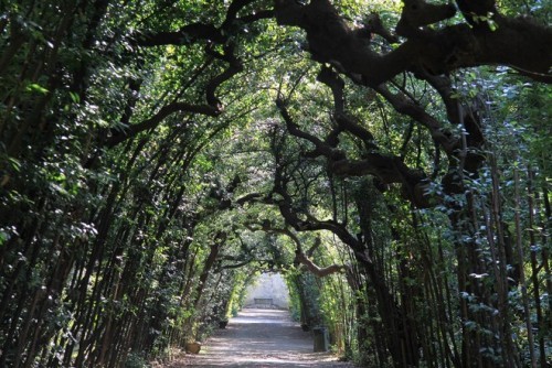 Schönste Orte für Picknick mitten in der Natur Boboli Gärten Florenz