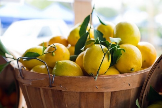 Zitronen richtig aufbewahren und frisch halten an einem schattigen Ort zu Hause