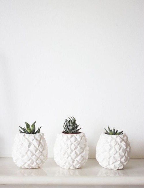 drei weiße Keramiktöpfe mit Sukkulenten schöne Geschenkidee für Mutti