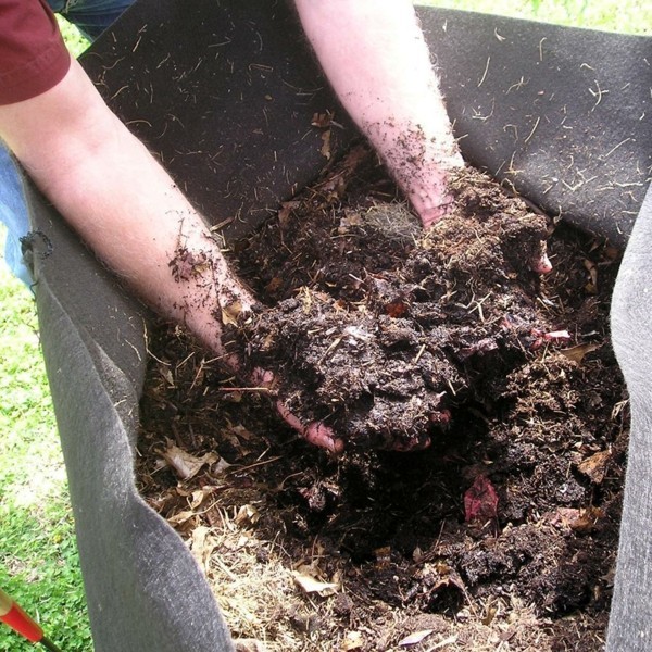 kompost blumenkübel bepflanzen