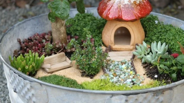 Mini Garten im Zinneimer mit Sukkulenten 
