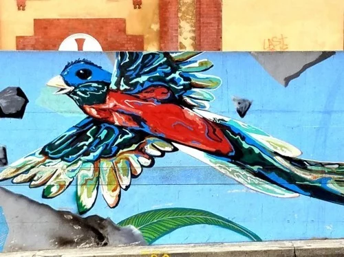 street art wand mit einem bunten vogel