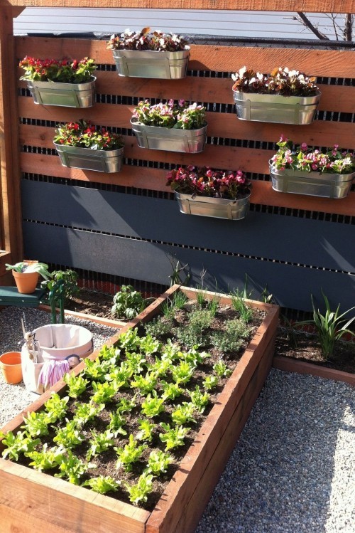 vertikaler Garten horizontal Gemüse anbauen