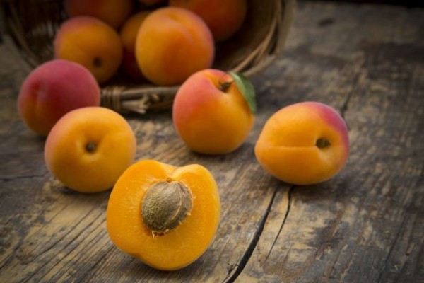 Aprikosen roh oder getrocknet sehr gesund Superfood für Leute über 50