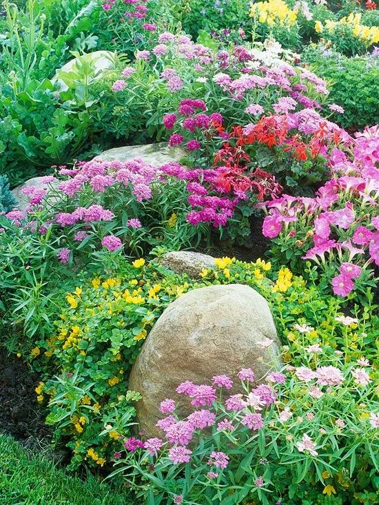 Blühende Blumen bringen mehr Farbe in den Steingarten
