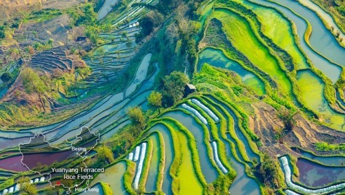 China farbenprächtige Terrassenfelder Reisfelder bestechen durch Formen und Farben