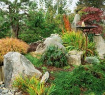 Einen Steingarten anlegen – hier sind die Tipps von den Pros!