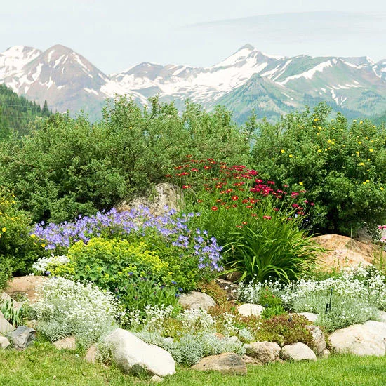 Steingarten anlegen ein kleines Stück Alpenlandschaft im eigenen Garten