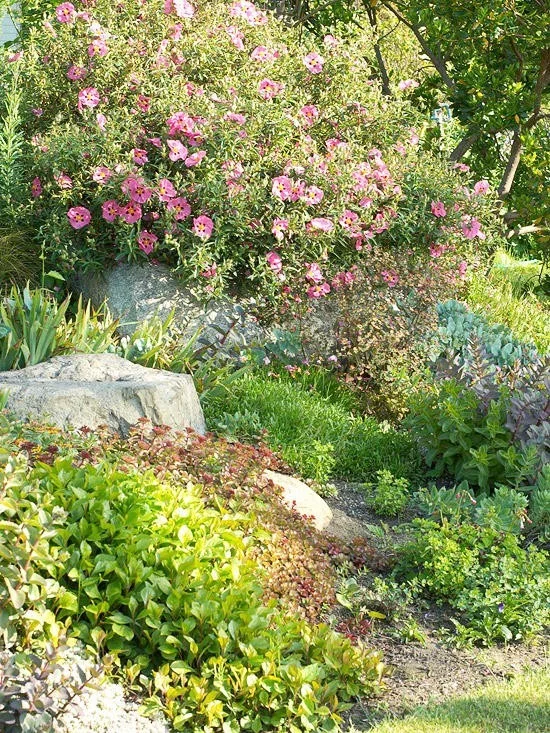 Steingarten blühende Blumen schaffen fröhliche Stimmung