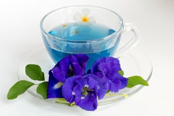 Butterfly pea Tea on White Background
