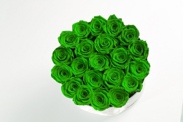 grüne rosen konservieren geschenkidee