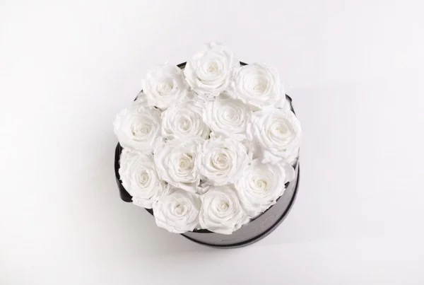 weiße rosen konservieren geschenkbox