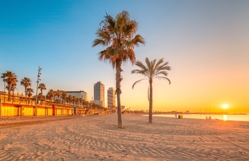 Ausgewählte Reiseziele im September Urlaubszeit weiter Strand Palmen bei Sonnenaufgang