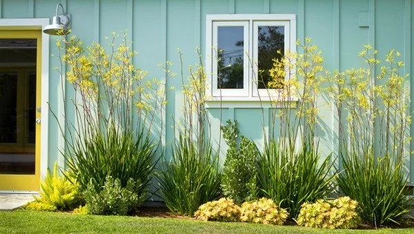 Garage attraktiv aussehen lassen mit Pflanzen Sukkulenten Ziergräser Fuchsschwanz Farne